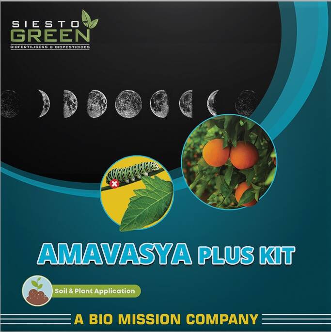 Amavasya Plus Kit